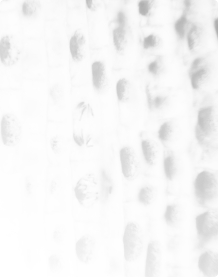 tissue array